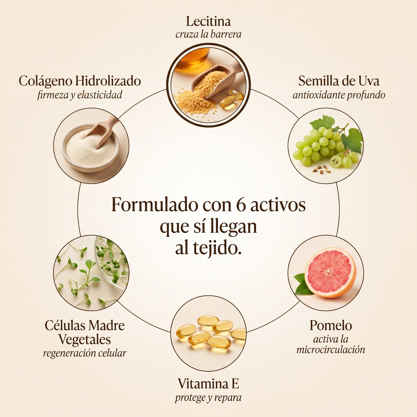 Orelis Aceite Anticelulítico